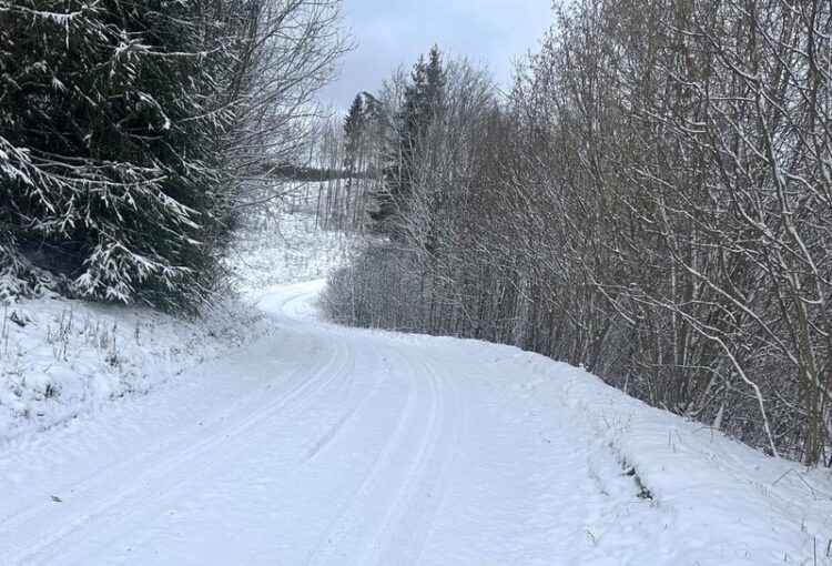 Värske pilt rajalt. Foto: korraldaja