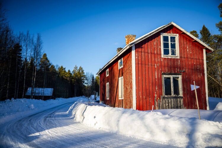 Rootsi MM-ralli 2025 Foto- M-Sport