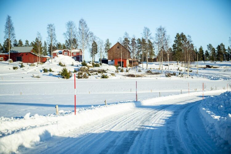 Rootsi MM-ralli 2025 Foto- M-Sport