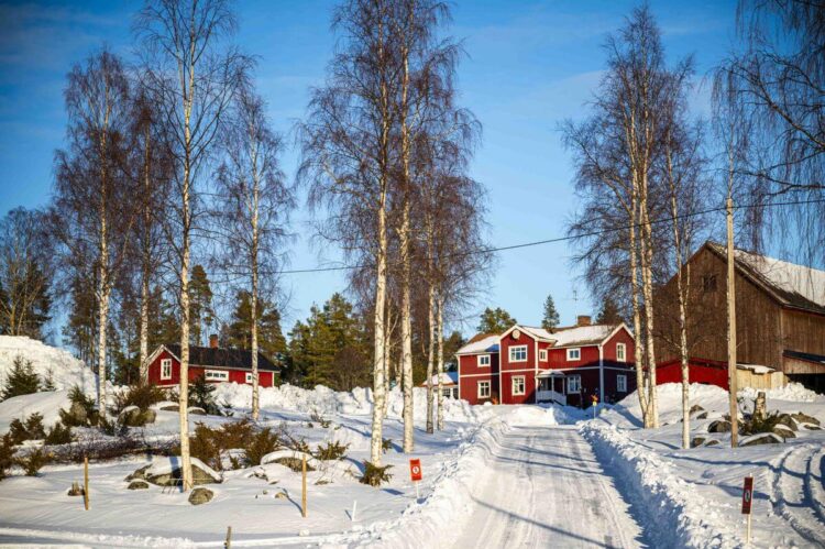 Rootsi MM-ralli 2025 Foto- M-Sport