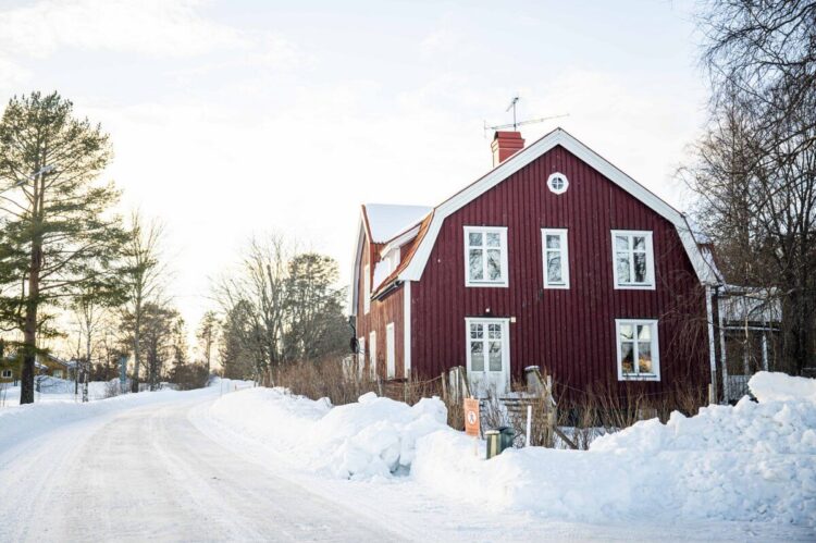 Rootsi MM-ralli 2025 Foto- M-Sport