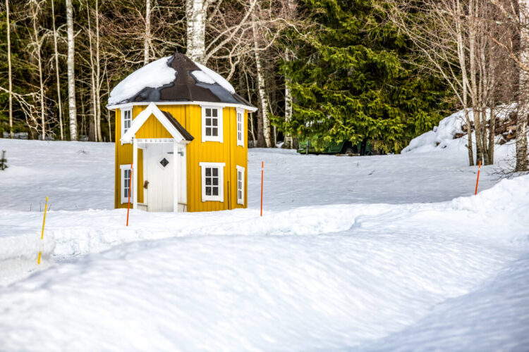 Rootsi MM-ralli 2025 Foto- M-Sport