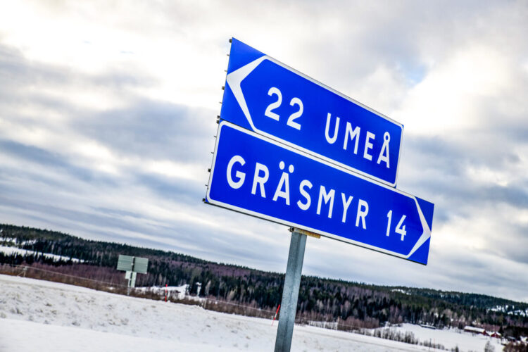 Rootsi MM-ralli 2025 Foto- M-Sport