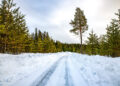 Rootsi MM-ralli 2025 Foto- M-Sport