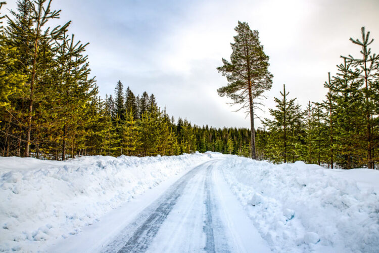 Rootsi MM-ralli 2025 Foto- M-Sport