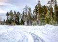Rootsi MM-ralli 2025 Foto- M-Sport