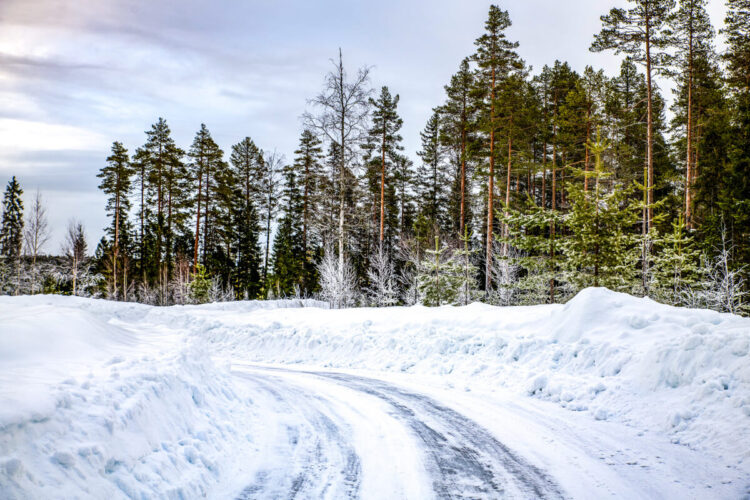 Rootsi MM-ralli 2025 Foto- M-Sport