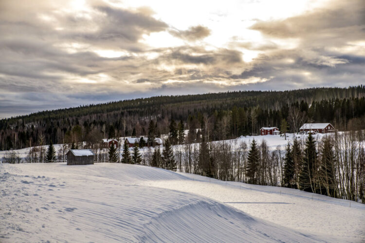 Rootsi MM-ralli 2025 Foto- M-Sport