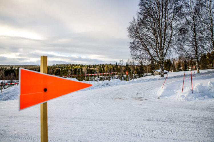 Rootsi MM-ralli 2025 Foto- M-Sport