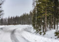 Rootsi MM-ralli 2025 Foto- M-Sport