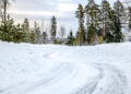 Rootsi MM-ralli 2025 Foto- M-Sport