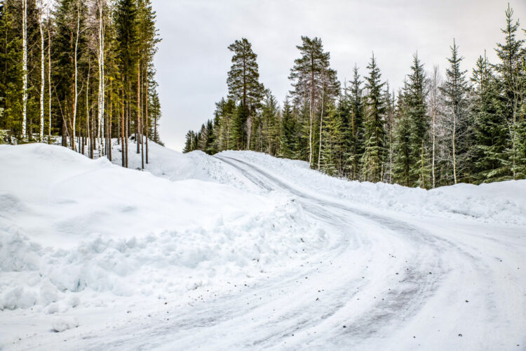 Rootsi MM-ralli 2025 Foto- M-Sport