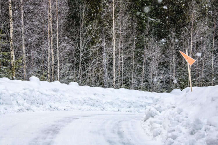 Rootsi MM-ralli 2025 Foto- M-Sport