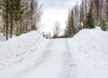 Rootsi MM-ralli 2025 Foto- M-Sport