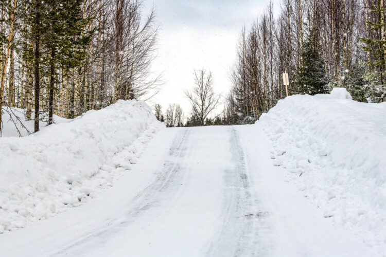 Rootsi MM-ralli 2025 Foto- M-Sport