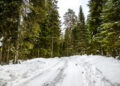 Rootsi MM-ralli 2025 Foto- M-Sport