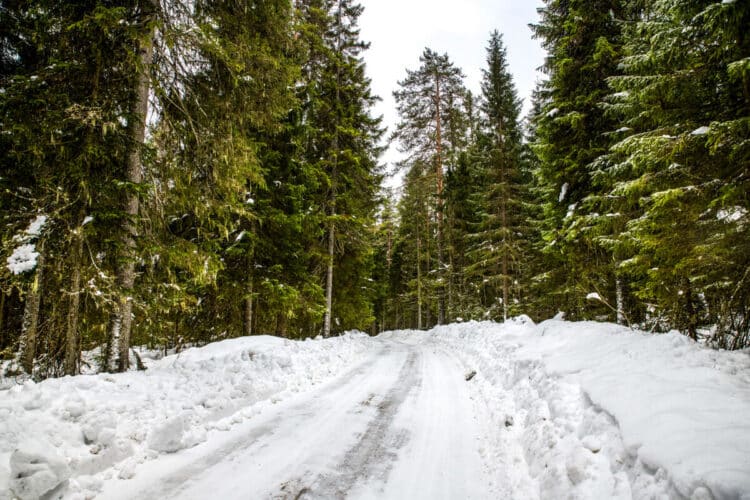 Rootsi MM-ralli 2025 Foto- M-Sport
