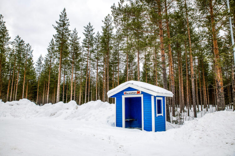 Rootsi MM-ralli 2025 Foto- M-Sport