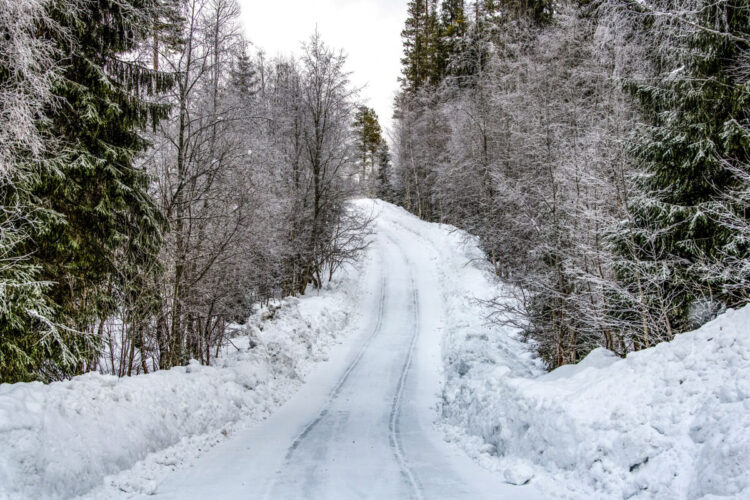 Rootsi MM-ralli 2025 Foto- M-Sport