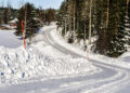 Rootsi MM-ralli 2025 Foto- M-Sport