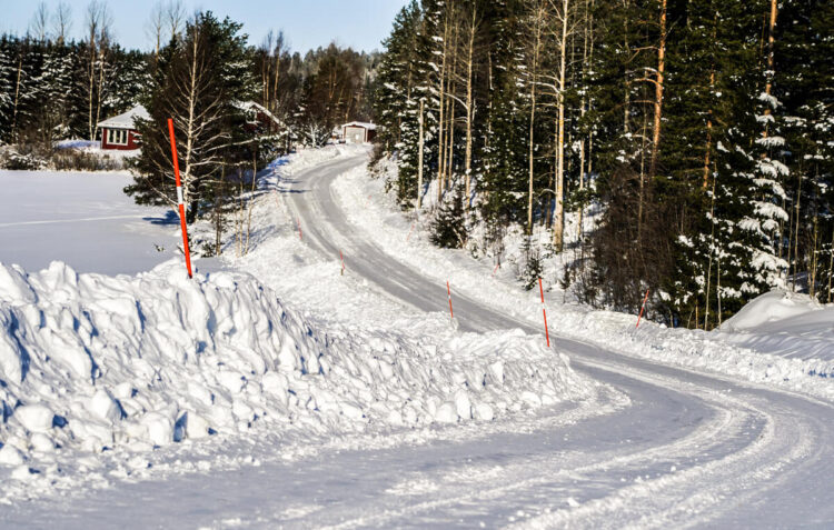 Rootsi MM-ralli 2025 Foto- M-Sport