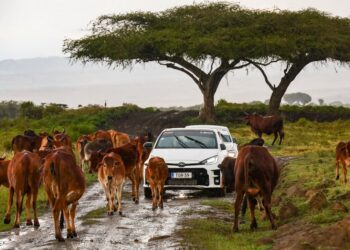 Foto: Toyota Gazoo Racing