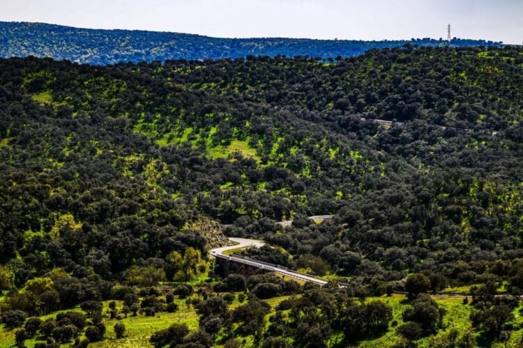 Foto: André Lavadinho / at-world.com