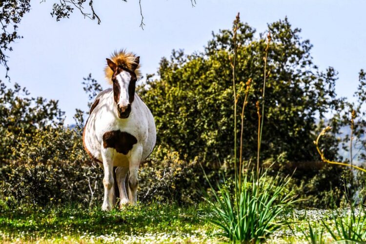 Foto: André Lavadinho / at-world.com