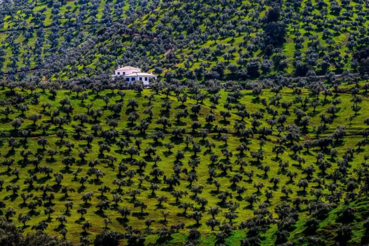 Foto: André Lavadinho / at-world.com