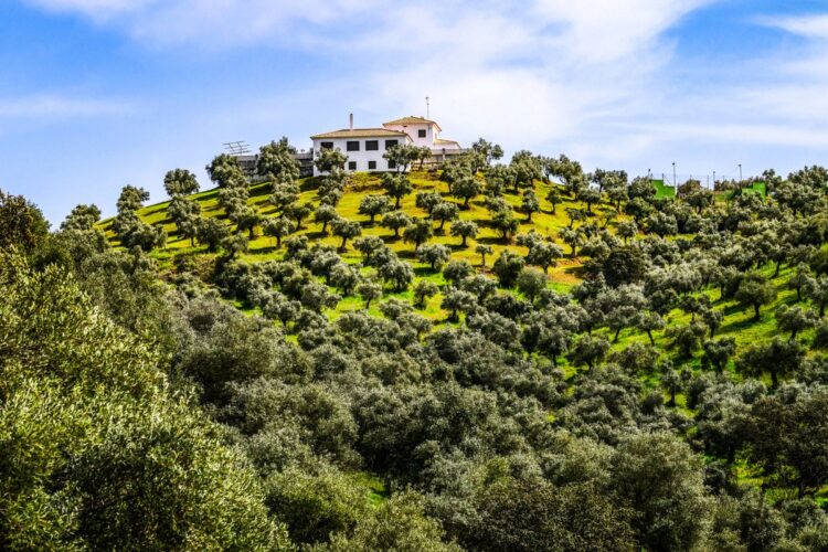 Foto: André Lavadinho / at-world.com