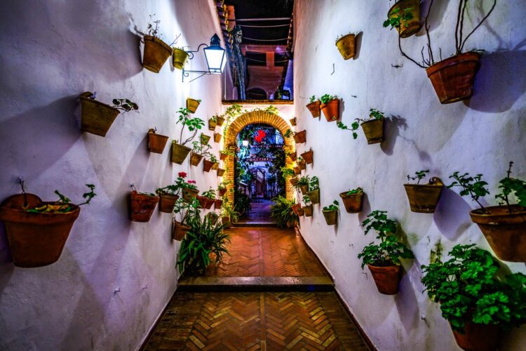 Foto: André Lavadinho / at-world.com