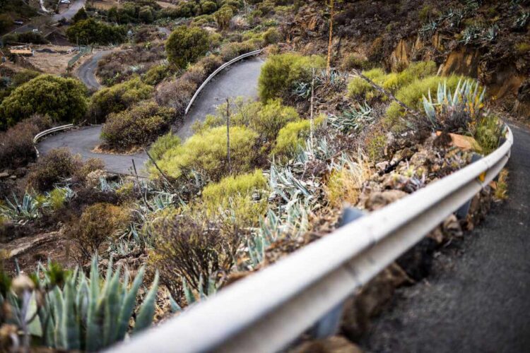 Kanaari Saarte MM-ralli, Foto: M-Sport