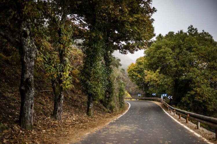 Kanaari Saarte MM-ralli, Foto: M-Sport