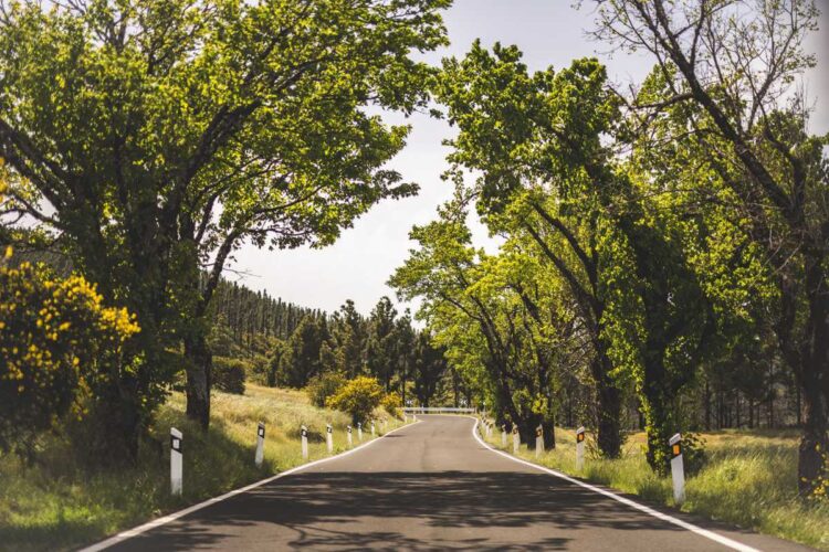 Kanaari Saarte MM-ralli, Foto: M-Sport