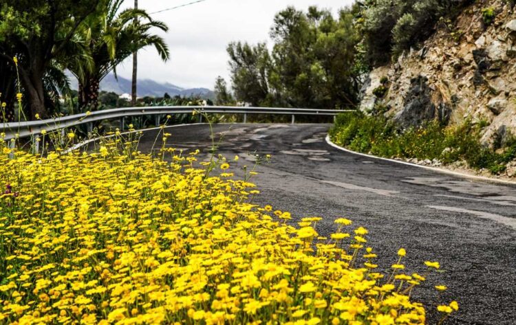 Kanaari Saarte MM-ralli, Foto: M-Sport