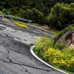 Kanaari Saarte MM-ralli, Foto: M-Sport