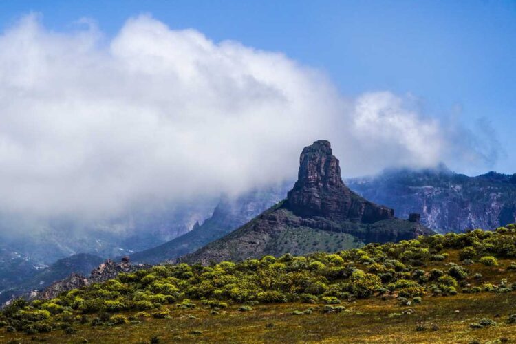 Kanaari Saarte MM-ralli, Foto: M-Sport