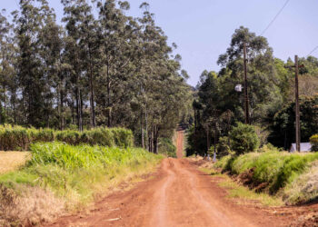 Marsruut hõlmab 334,52 kilomeetrit kiiruskatseid / Foto: © ueno Paraguay ralli