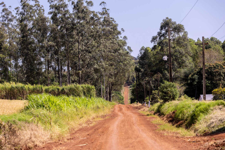 Marsruut hõlmab 334,52 kilomeetrit kiiruskatseid / Foto: © ueno Paraguay ralli
