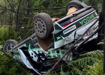 Foto: João Castro Pereira