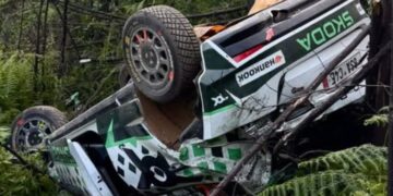 Foto: João Castro Pereira