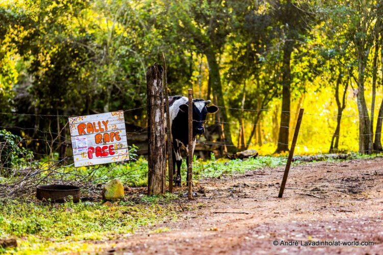 SUUR GALERII: Vaata millised olud on Ott Tänakut ja teisi võistlejaid ees ootamas Paraguay MM-rallil