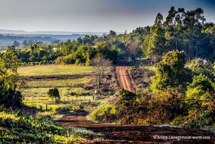 SUUR GALERII: Vaata millised olud on Ott Tänakut ja teisi võistlejaid ees ootamas Paraguay MM-rallil