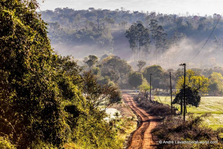 SUUR GALERII: Vaata millised olud on Ott Tänakut ja teisi võistlejaid ees ootamas Paraguay MM-rallil