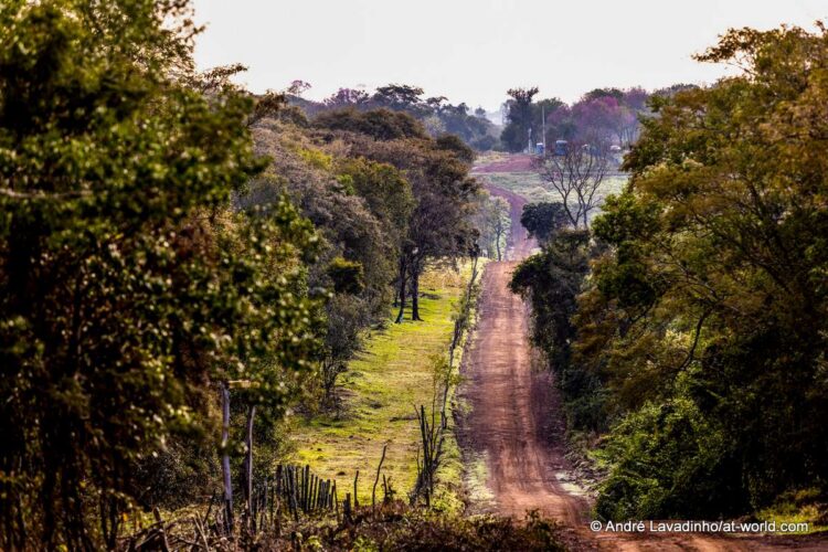 SUUR GALERII: Vaata millised olud on Ott Tänakut ja teisi võistlejaid ees ootamas Paraguay MM-rallil