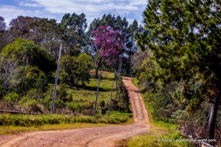 SUUR GALERII: Vaata millised olud on Ott Tänakut ja teisi võistlejaid ees ootamas Paraguay MM-rallil