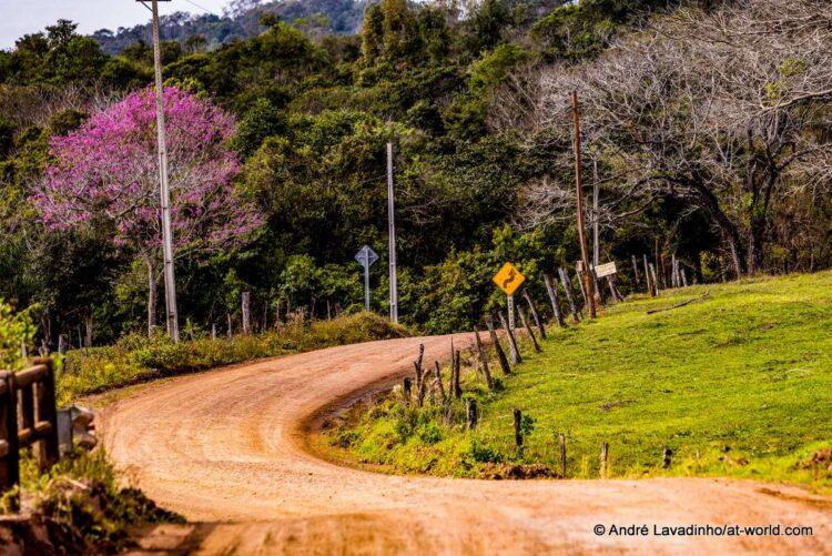 SUUR GALERII: Vaata millised olud on Ott Tänakut ja teisi võistlejaid ees ootamas Paraguay MM-rallil