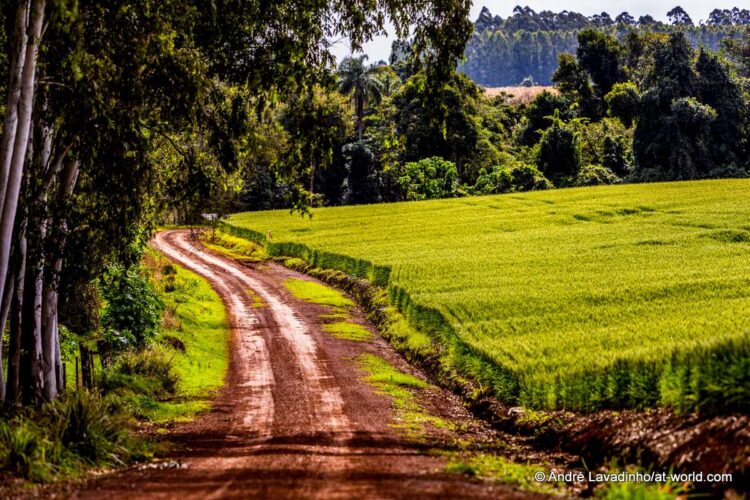 SUUR GALERII: Vaata millised olud on Ott Tänakut ja teisi võistlejaid ees ootamas Paraguay MM-rallil