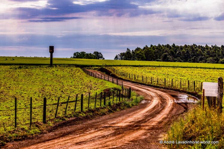 SUUR GALERII: Vaata millised olud on Ott Tänakut ja teisi võistlejaid ees ootamas Paraguay MM-rallil