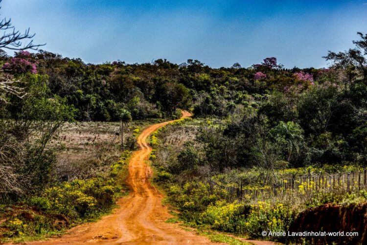 SUUR GALERII: Vaata millised olud on Ott Tänakut ja teisi võistlejaid ees ootamas Paraguay MM-rallil